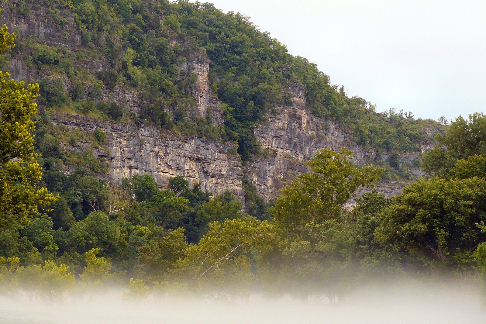 Misty bluff rising over the Buffalo River at dawn